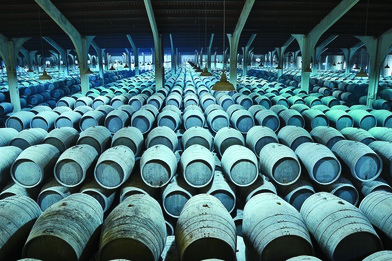 Because of the unique production methods used to make Sherry, the terroir of the bodega itself has a strong impact on the wine. Bodega Valdespino (barrels pictured above) produces a wide range of styles.