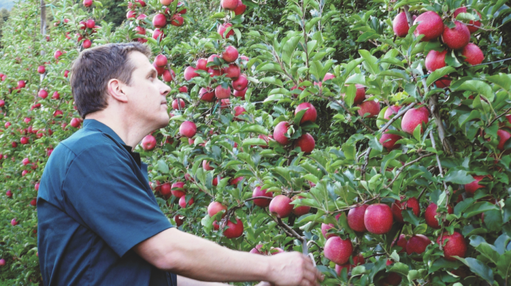 Cider is growing even faster than craft beer, driven by The Boston Beer Co.–owned Angry Orchard brand (cidermaker David Sipes pictured).