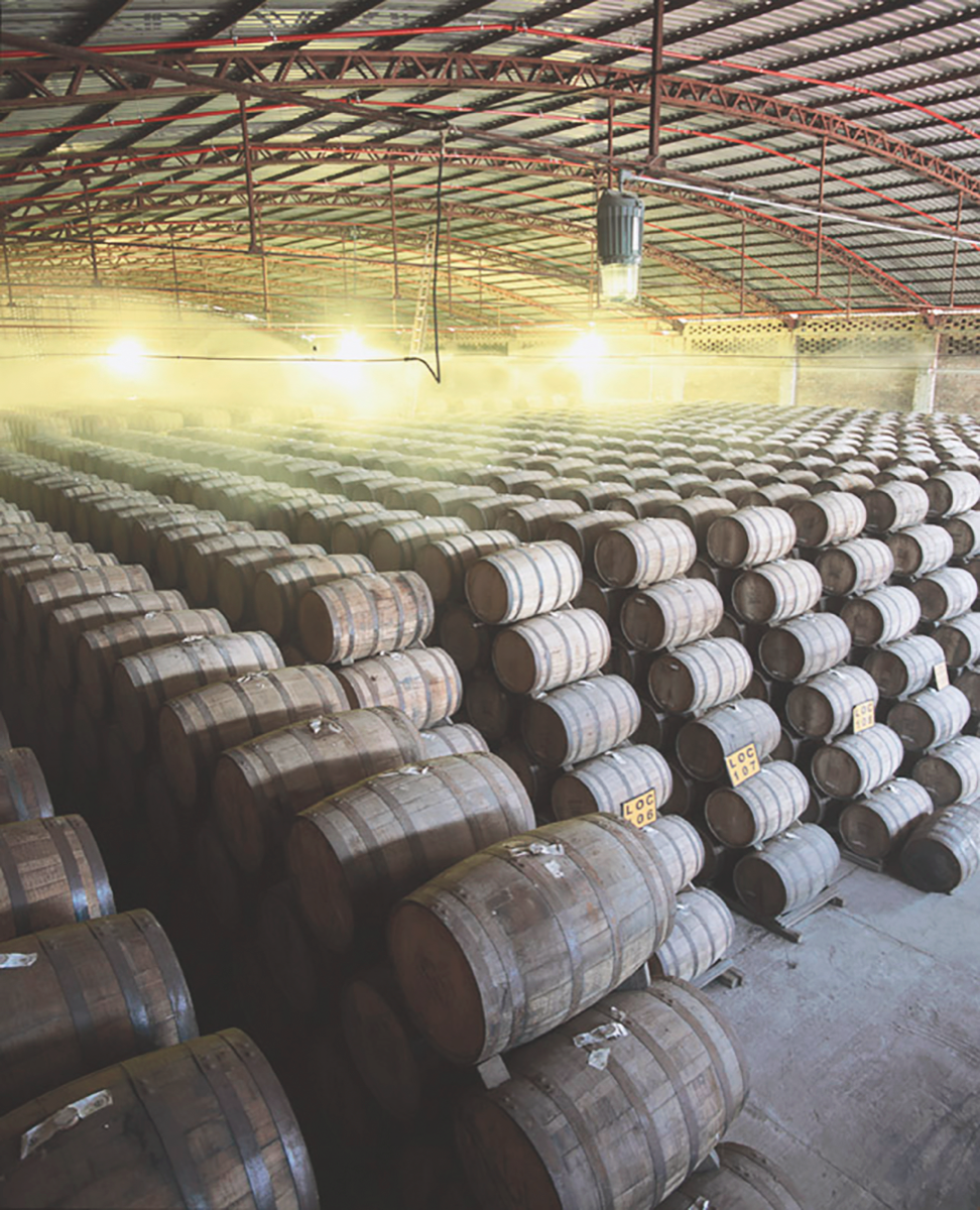 Aged offerings (Don Julio barrels pictured) are getting more popular as consumers discover Tequila’s potential as a sipping spirit.