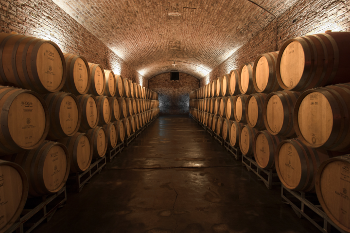 Quintessential Wines began importing the Bodegas y Viñedos Pascual Toso brand (cellars pictured) in June. The company anticipates that consumers will trade up within the range, which is priced from $12 to $120.