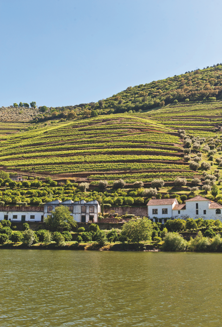 As Portugal gains international media attention as a food, wine and travel destination (Luis Seabra Vinhos winery, above), the country's wine exports have increased.