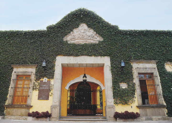 Jose Cuervo (its La Rojena distillery pictured) rose by 4.3 percent to 3.6 million cases last year.