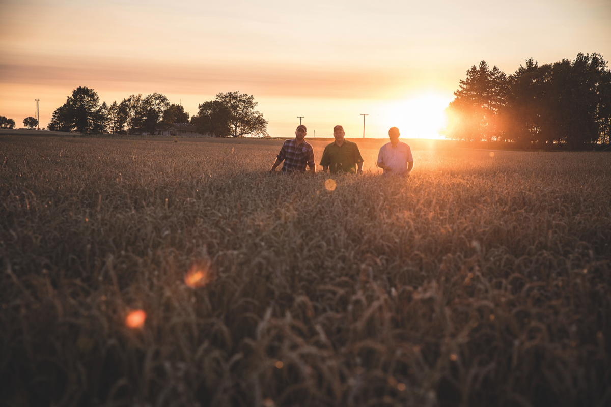 Based in rural DeKalb, about an hour outside of Chicago, Whiskey Acres Distilling Co. is located on a 2,000-acre, family-owned farm (grain fields pictured), which grows more than a dozen varieties of corn and supplies all of the distillery's corn and rye.