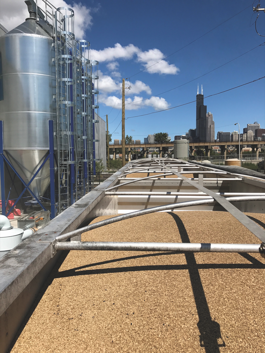 Chicago's CH Distillery is betting big on its future, opening a production plant in the city's Pilsen neighborhood last year that has the capacity to produce 100,000 cases annually. The distillery sold around 12,000 cases in 2017.