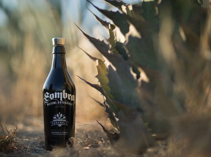 Sustainability is a top priority for mezcal producers big and small. Sombra mezcal (limited-edition Ensamble bottle pictured) recently received the Leading Sustainable and Environmentally Friendly Mezcal Company award from the Mezcal Institute. 