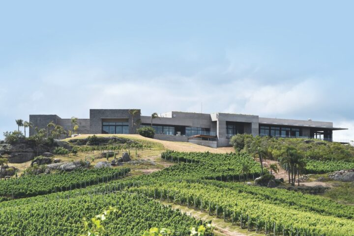 The largest Uruguayan wine in the U.S., Bodega Garzón (vineyard pictured) sold roughly 30,000 cases in the market last year, according to importer Pacific Highway Wines. The brand’s Tannat varietal is its top-seller, but others like Albariño are also making waves.