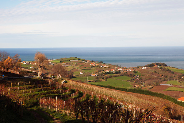 Wines from Txakolina in Spain’s Basque region (Getariako vineyards pictured) are gaining traction during the spring and summer months at Gary’s Wine & Marketplace, which has four locations in New Jersey and one in Napa, California