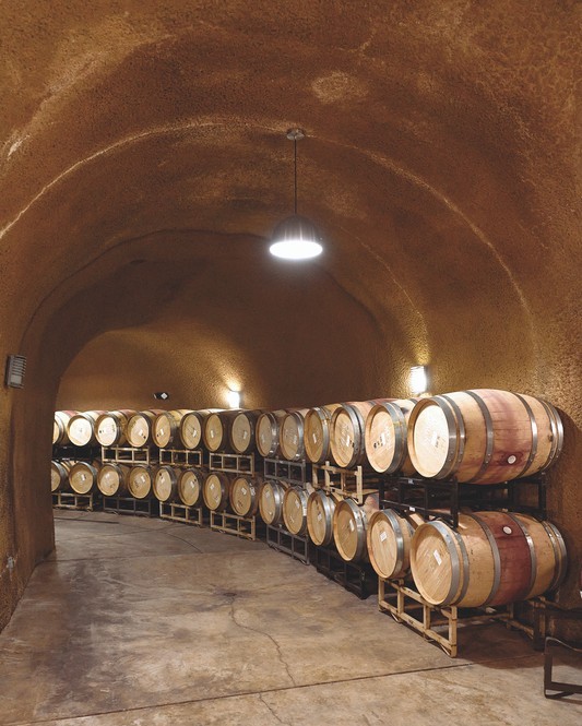 Marc Taub bought the 400-acre Saracina wine estate a few years ago and is excited about its prospects. Saracina is the only property in Mendocino with wine caves (pictured).