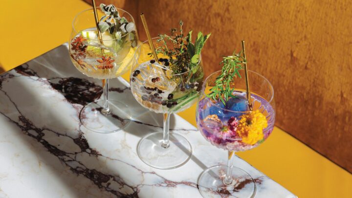 Gin marketers agree large-scale growth for the category requires on-premise support and creative cocktail applications. New York City bar Beast & Butterflies Downtown offers unique Gin & Tonics (pictured) that are well-received by guests.