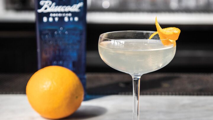 Bluecoat gin (above) is highlighting its citrus-forward American Dry flavor profile with the new marketing campaign Rebellion Distilled, which is expected to launch later this year. The brand is also leaning into the Martini movement.