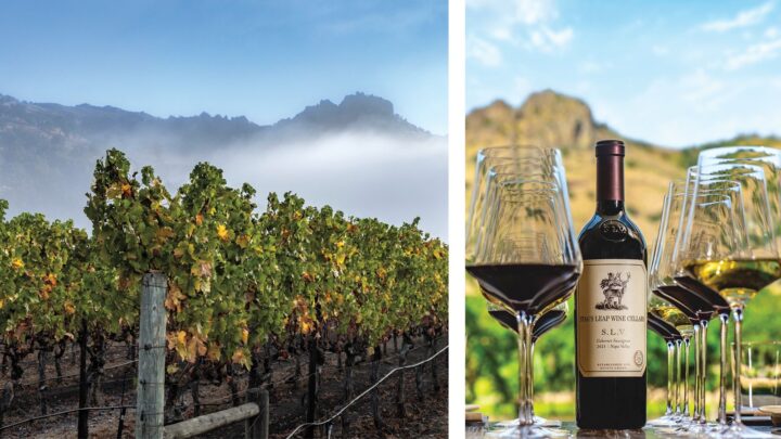 Wine producers in Napa Valley are aware of the need for more affordable options. While Stag’s Leap Wine Cellars (vineyard pictured) is known for its luxury offerings (S.L.V. Cabernet Sauvignon above), the winery also produces labels in the $30-$50 a 750-ml. range.