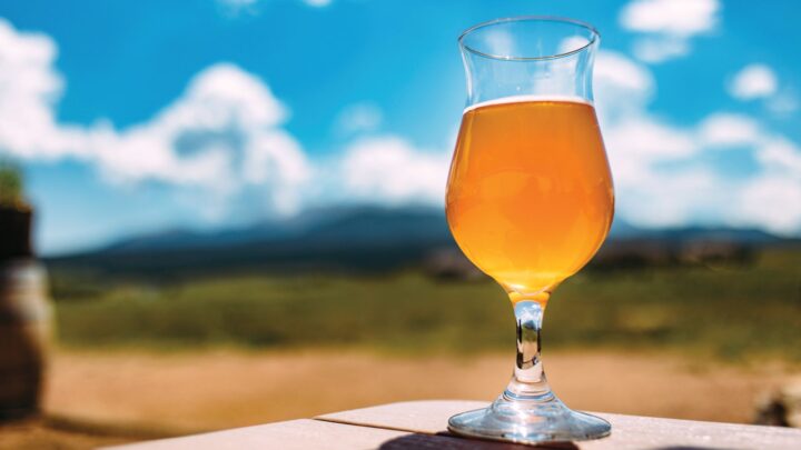 Despite still being a relatively small category, non-alcoholic beers (NABs) are on the rise. 
