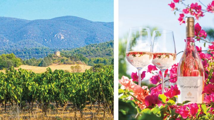 La Vieille Ferme (vineyard above left) overtook Whispering Angel (above right) as the top-selling rosé in the United States last year. The brand increased by 23.5% last year, according to Impact Databank, surpassing the 500,000-case mark and reaching 607,000 cases.