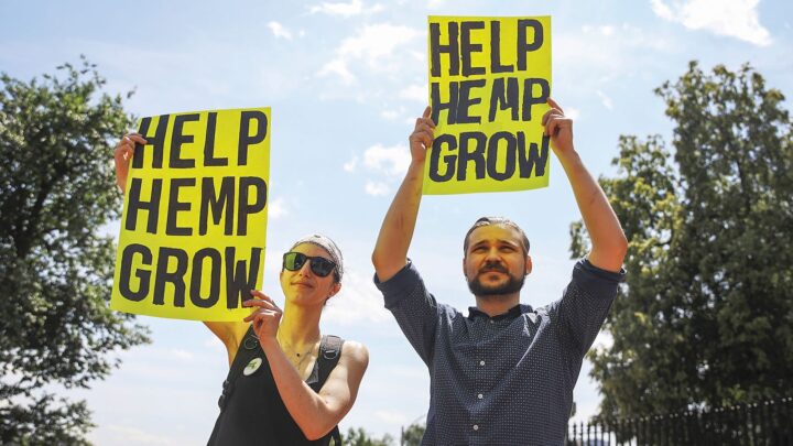 Lobbyists for the hemp beverage sector are calling for clear and uniform legislation to manage THC drinks, noting that an overall ban on the products would destroy years worth of work in the cannabis industry.