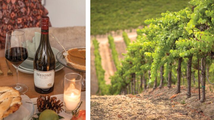 Despite facing headwinds, Meoimi (Pinot Noir above left) stayed roughly flat in 2025 following its acquisition by The Wine Group. The company plans to reignite the brand with new Sonoma- (vineyard right) and Monterrey-appellated Pinot Noirs.