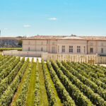 Château with vineyards in the foreground