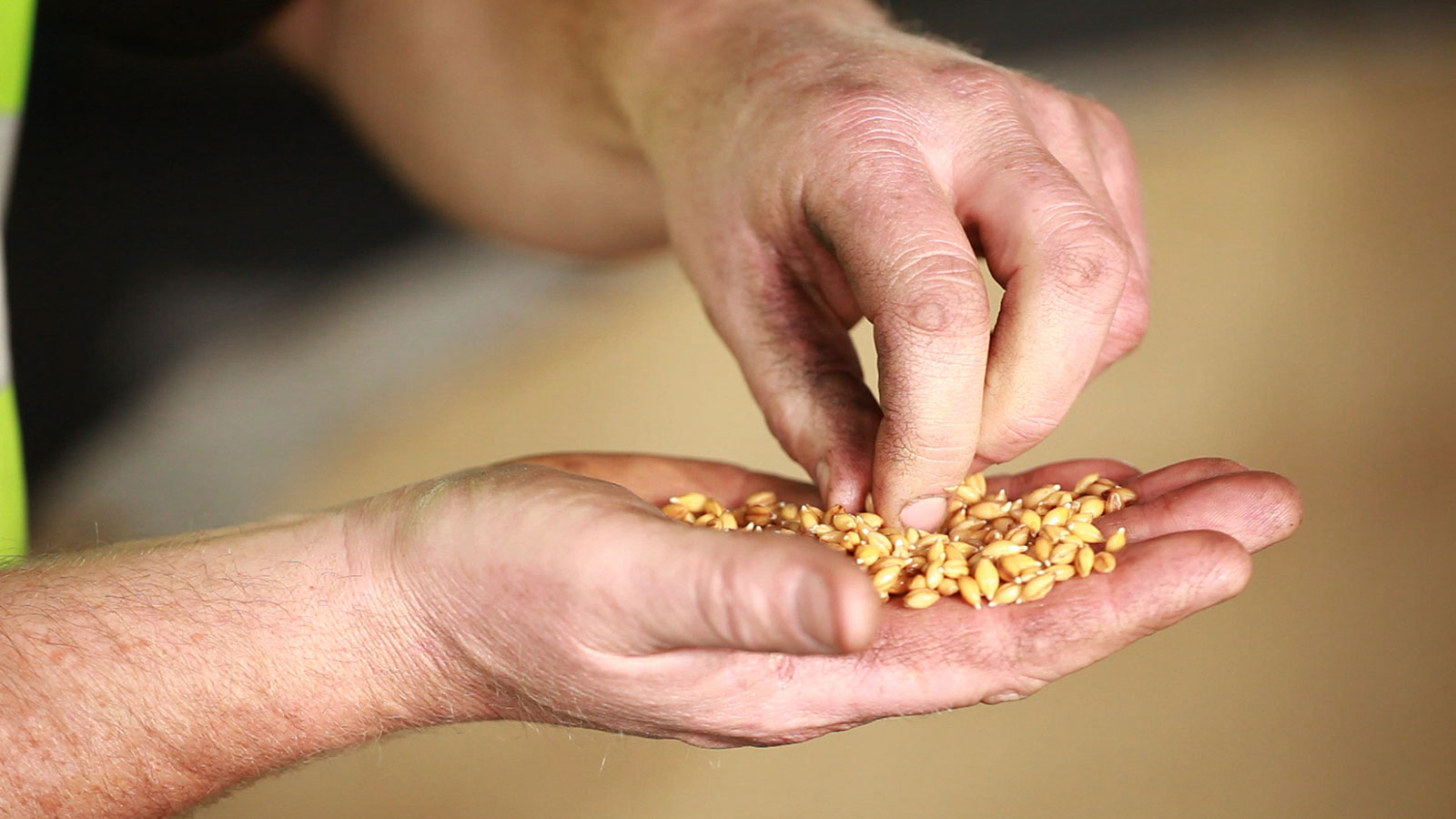 Craft Maltings Help Distillers Create More Experimental Whiskies