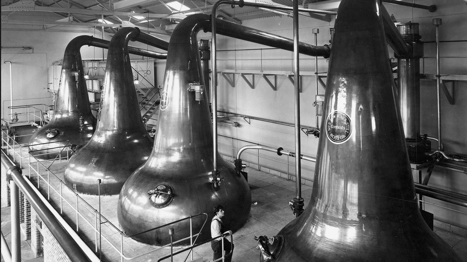 What We Lost in the Whisky Loch