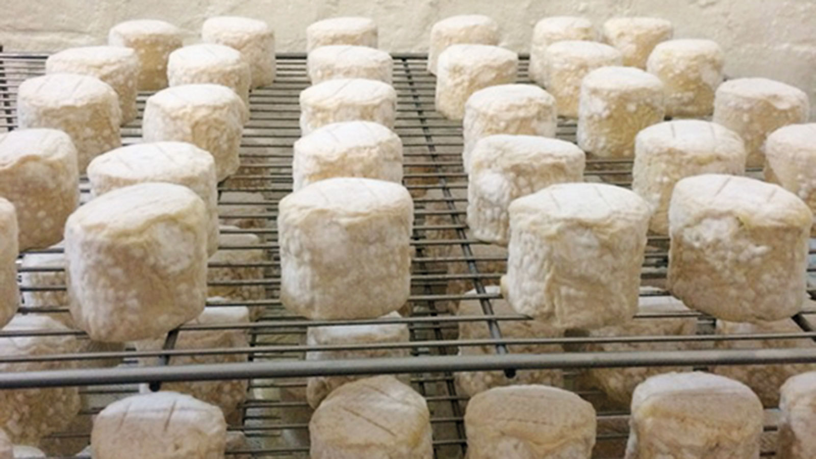 Eat This Cheese Made with Whiskey
