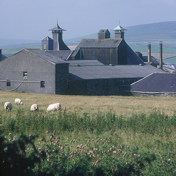 Distillery Tours on Orkney