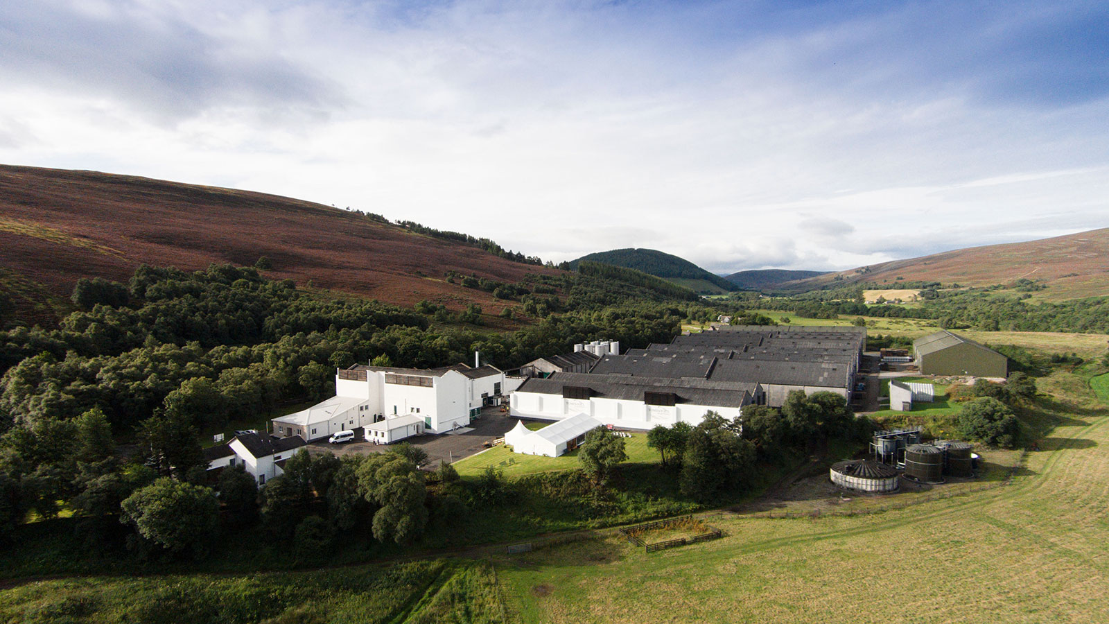 Why Peat Is Popping Up In Non-Peaty Scotch