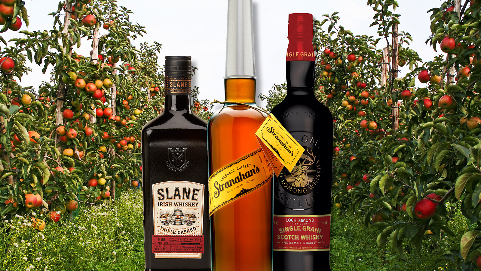6 Whiskies Perfect for Apple Picking Season