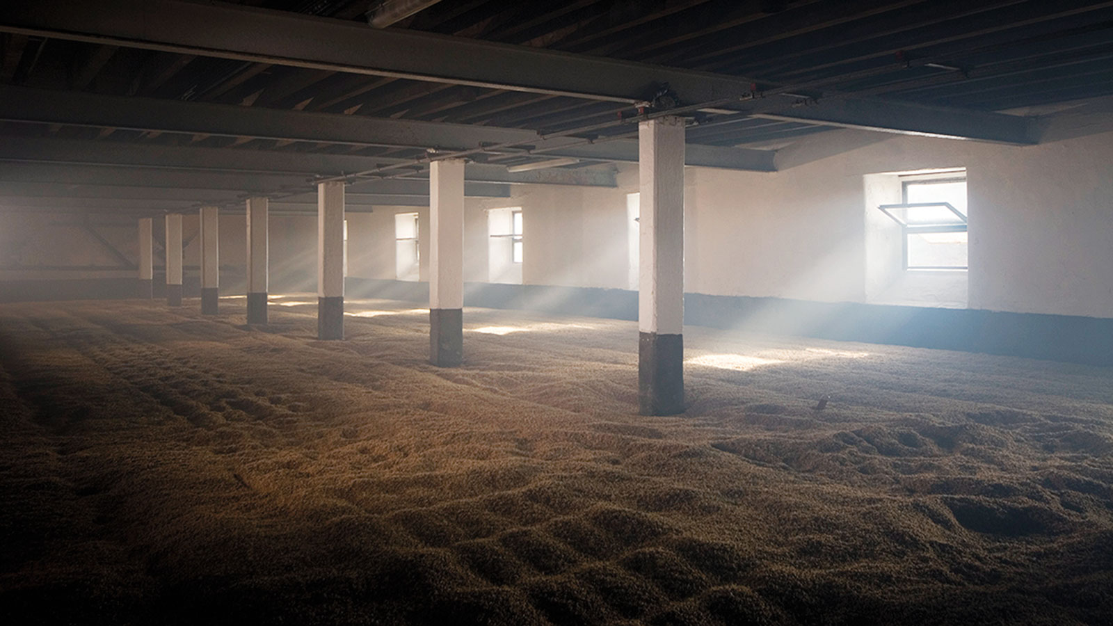 Everything You Need to Know About Peat in Whisky Whisky Advocate