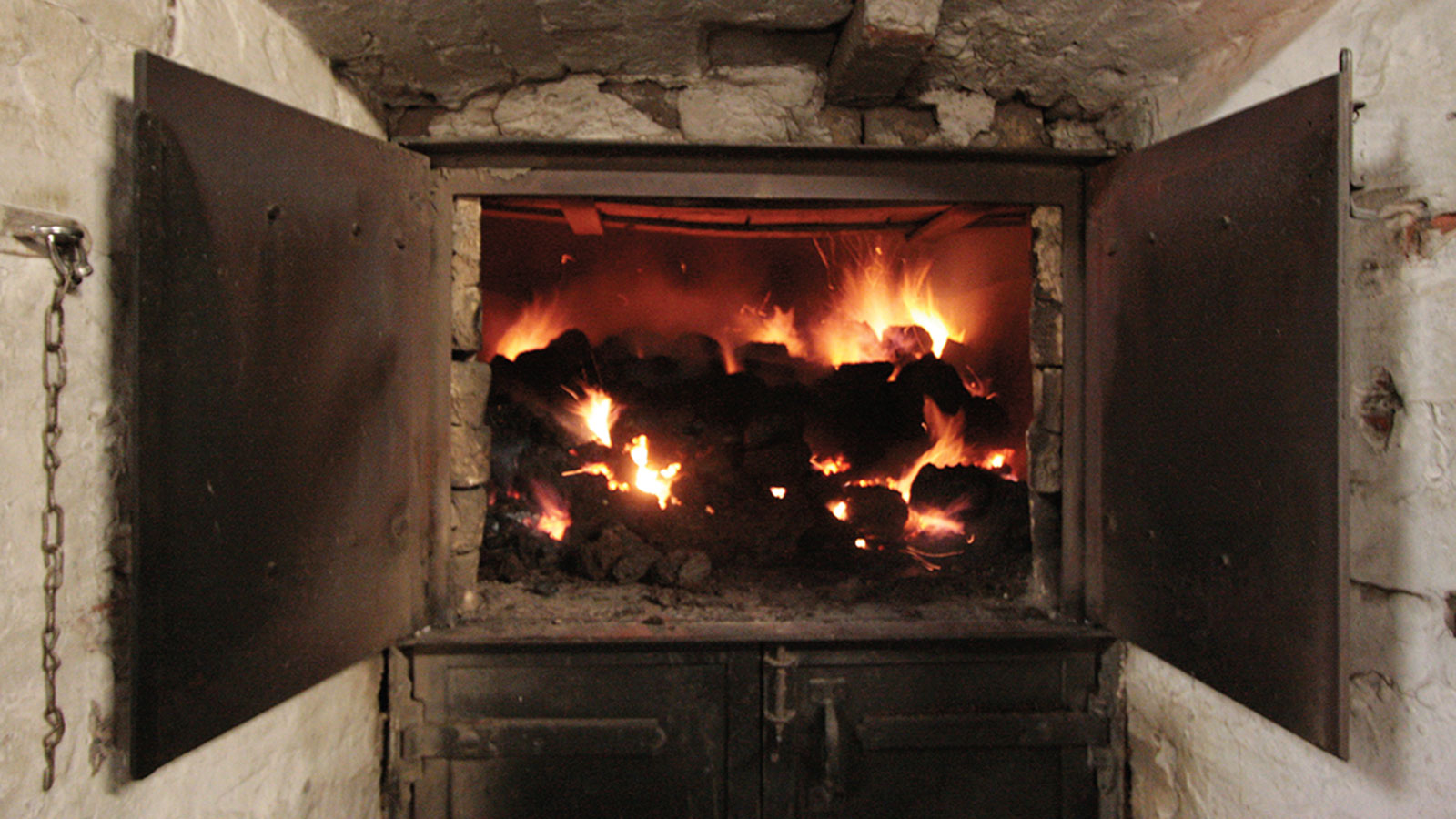 Everything You Need to Know About Peat in Whisky Whisky Advocate