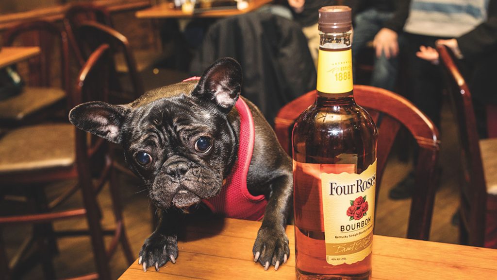 5 DogFriendly Whisky Bars Whisky Advocate