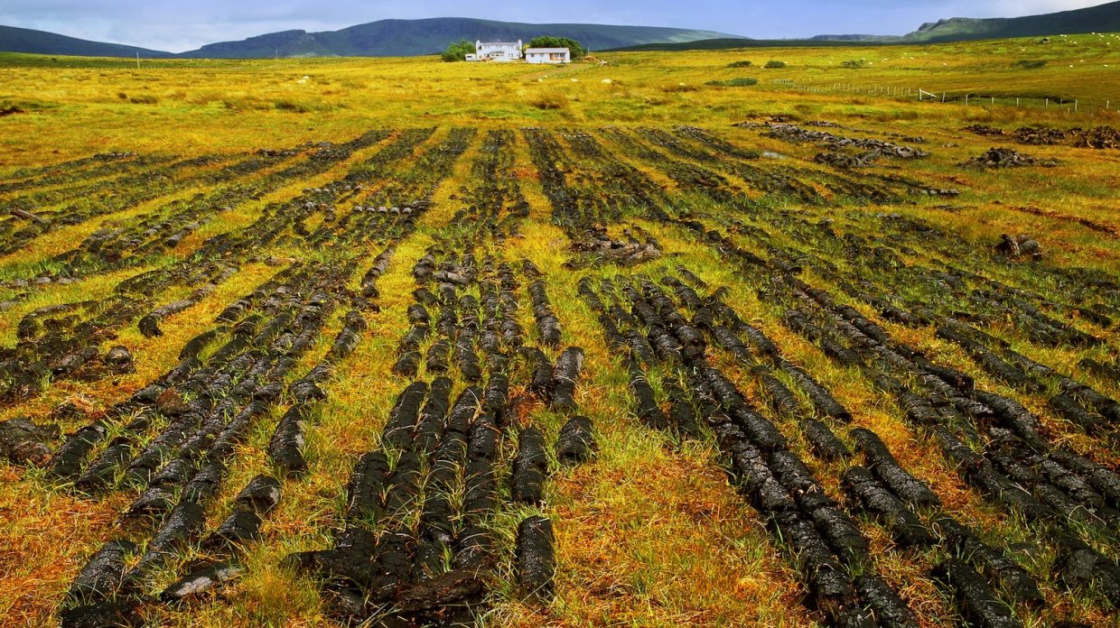 peat laid out to dry in a scottish landscape