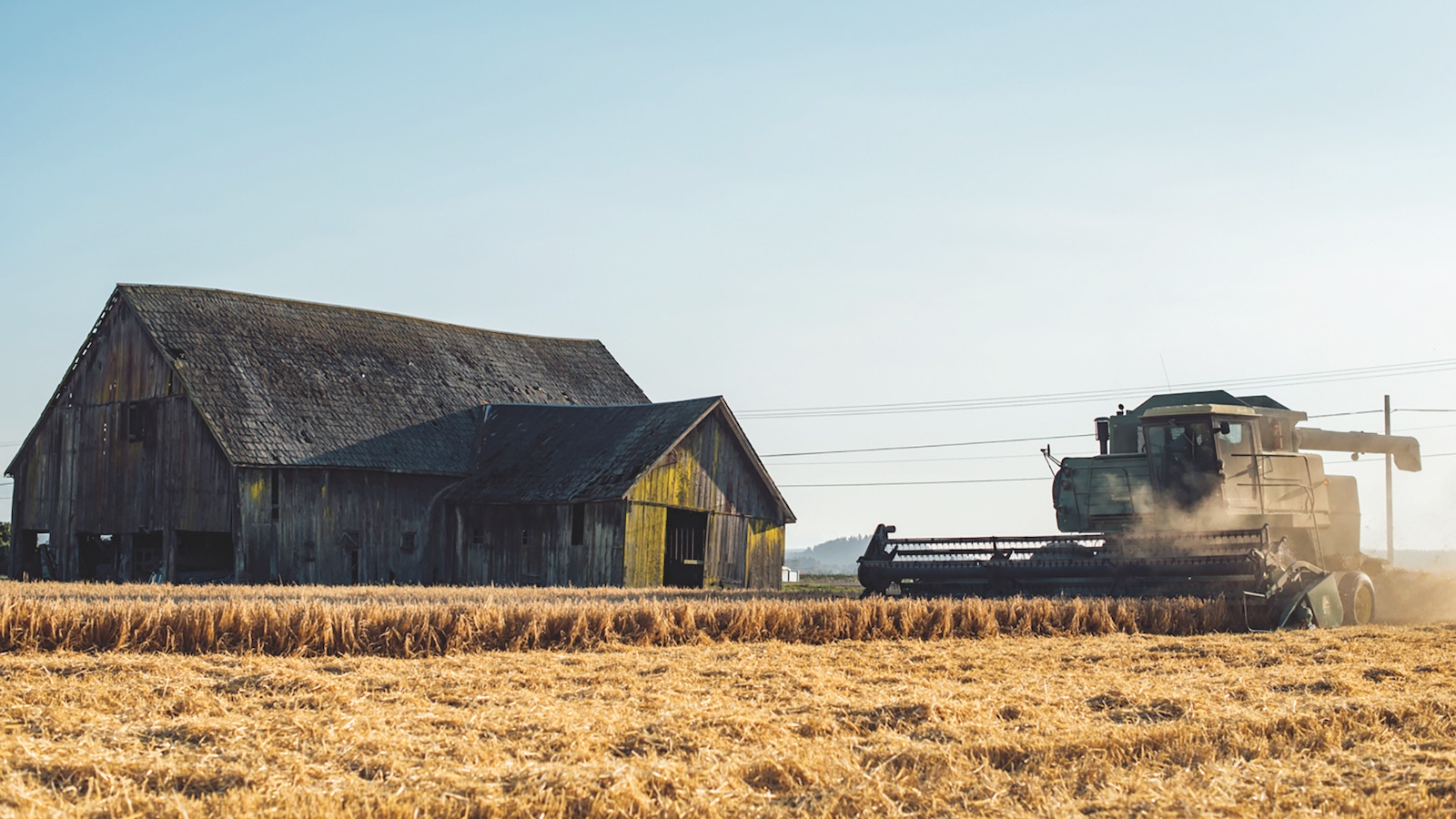 The Roastmaster: Skagit Valley Malting